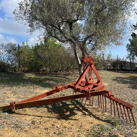 Cultura Elani Halkidiki Ferienhaus