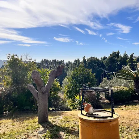 Cultura Elani Halkidiki Siviri