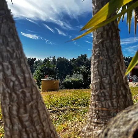 Cultura Elani Halkidiki *