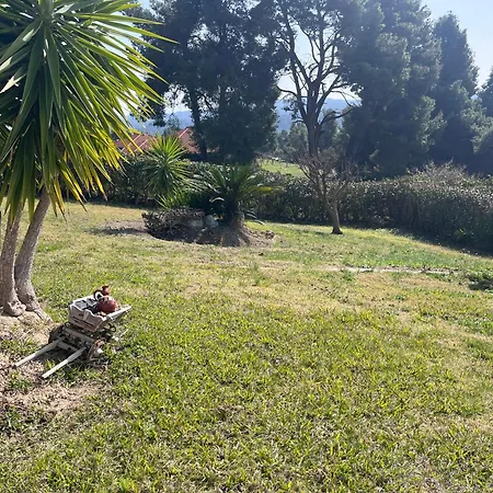 Cultura Elani Halkidiki *