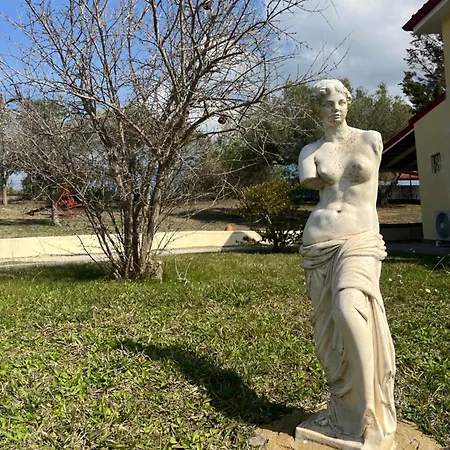 Cultura Elani Halkidiki Hébergement de vacances Siviri