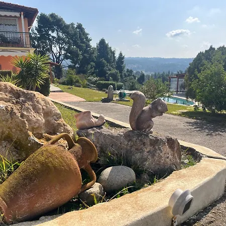 Cultura Elani Halkidiki Hébergement de vacances