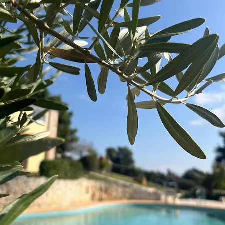 Hébergement de vacances Cultura Elani Halkidiki Siviri