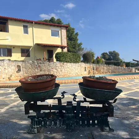 Cultura Elani Halkidiki Hébergement de vacances *
