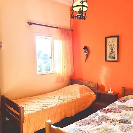 Cultura Elani Halkidiki * Siviri