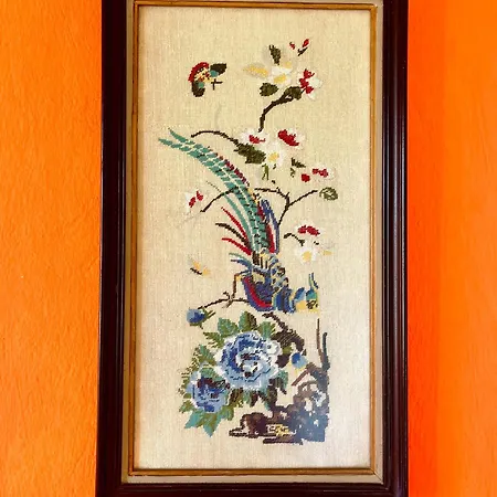 Cultura Elani Halkidiki