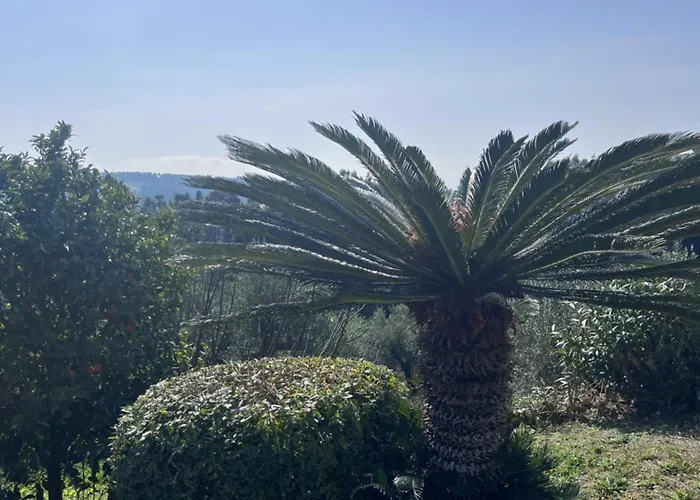 Cultura Elani Halkidiki Siviri