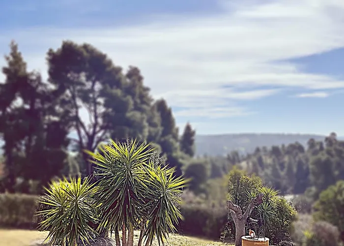 Cultura Elani Halkidiki *
