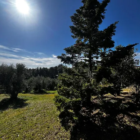 Cultura Elani Halkidiki בית נופש *