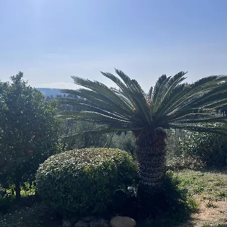 Cultura Elani Halkidiki Siviri