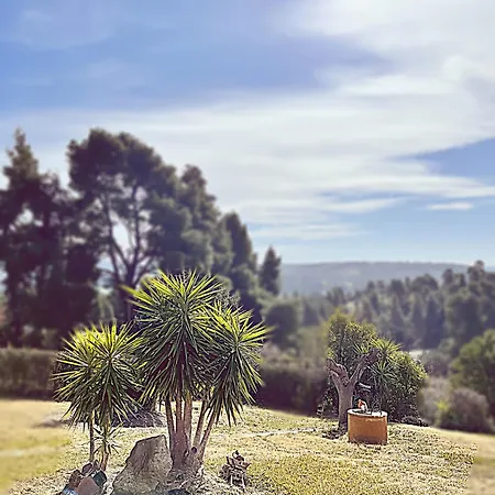 Cultura Elani Halkidiki *